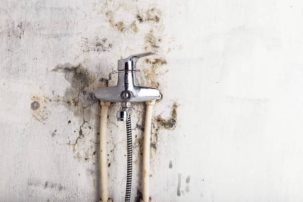 Best Mold Remediation for Specific Building Types in Fairmount Heights, MD