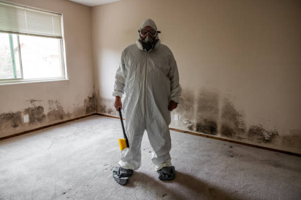 Best Attic Mold Remediation in Fairmount Heights, MD